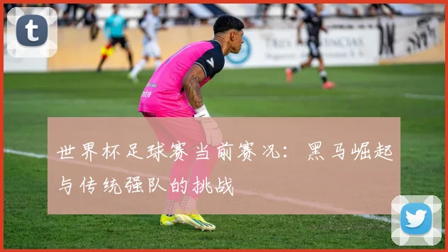 世界杯足球赛当前赛况：黑马崛起与传统强队的挑战