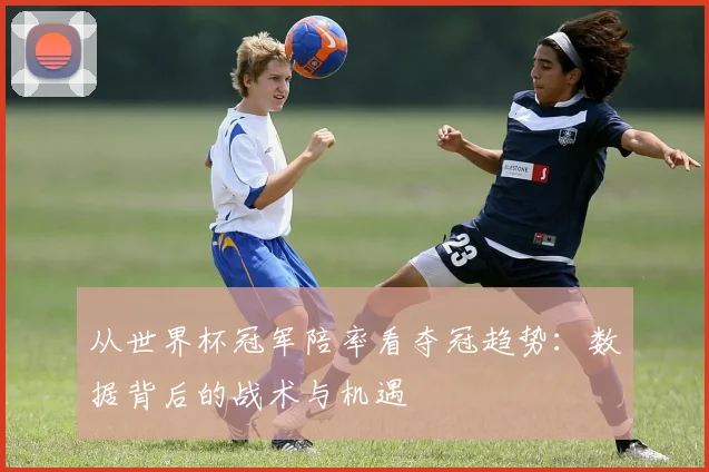 从世界杯冠军陪率看夺冠趋势：数据背后的战术与机遇